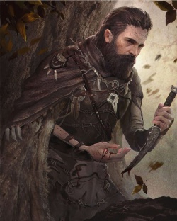 Albrecht Durenforst.jpg